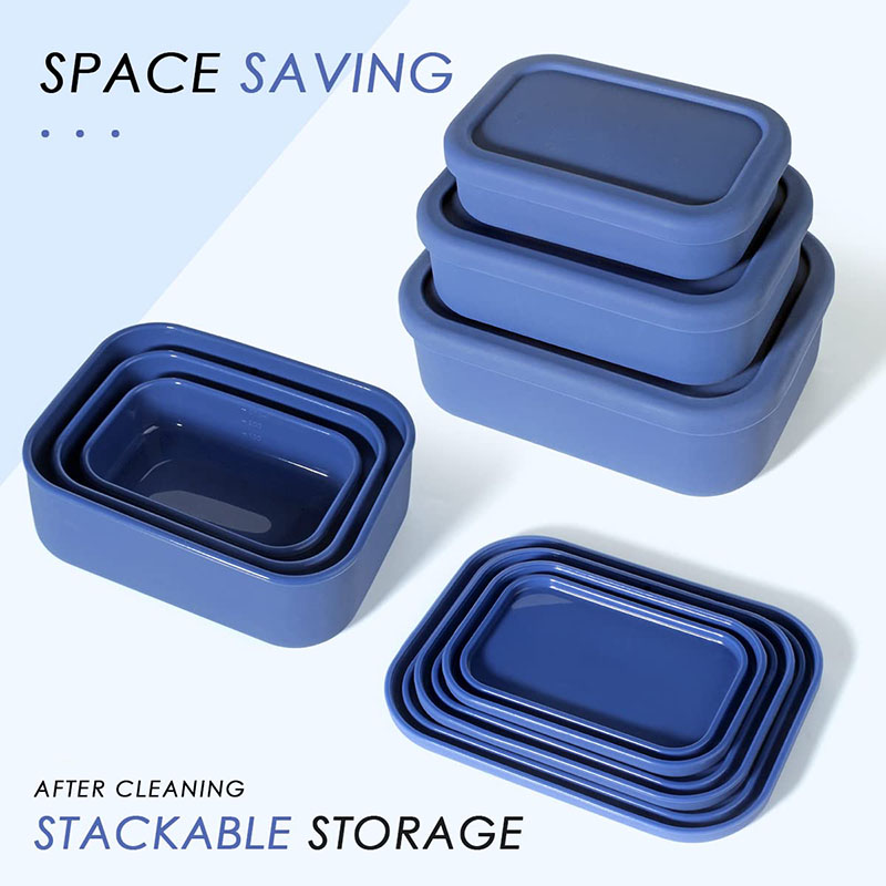 Leak-Resistant Bento Lunch Box - огляд і ціна Meal Prep Dinners